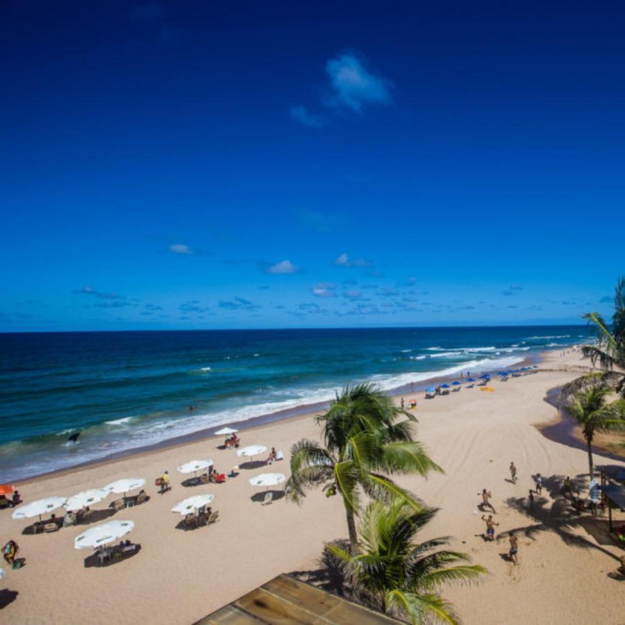 Mares De Stella *